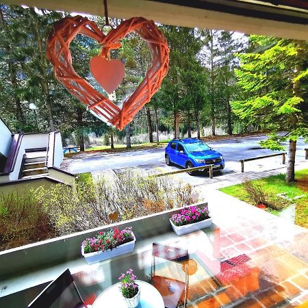 Dapolo - Cosy Appartment In Val Di Fassa Campestrin Dış mekan fotoğraf