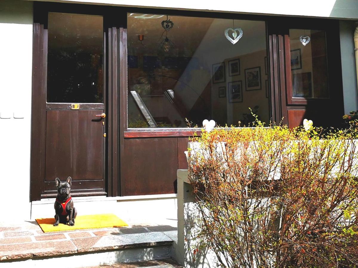 Dapolo - Cosy Appartment In Val Di Fassa Campestrin Dış mekan fotoğraf